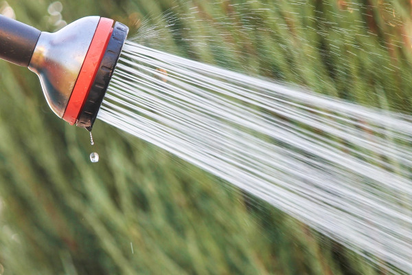 rain shower head chrome